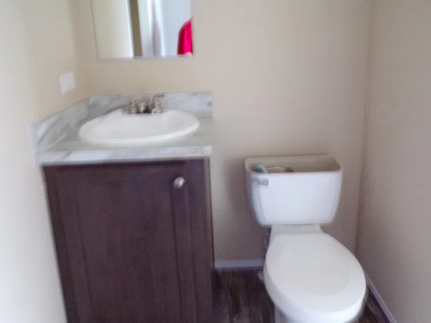 Lowery bathroom home features